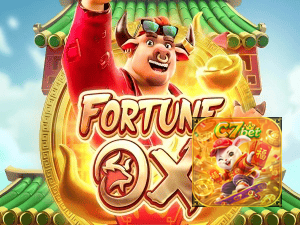 C77 BET login — painel de entrada no app oficial